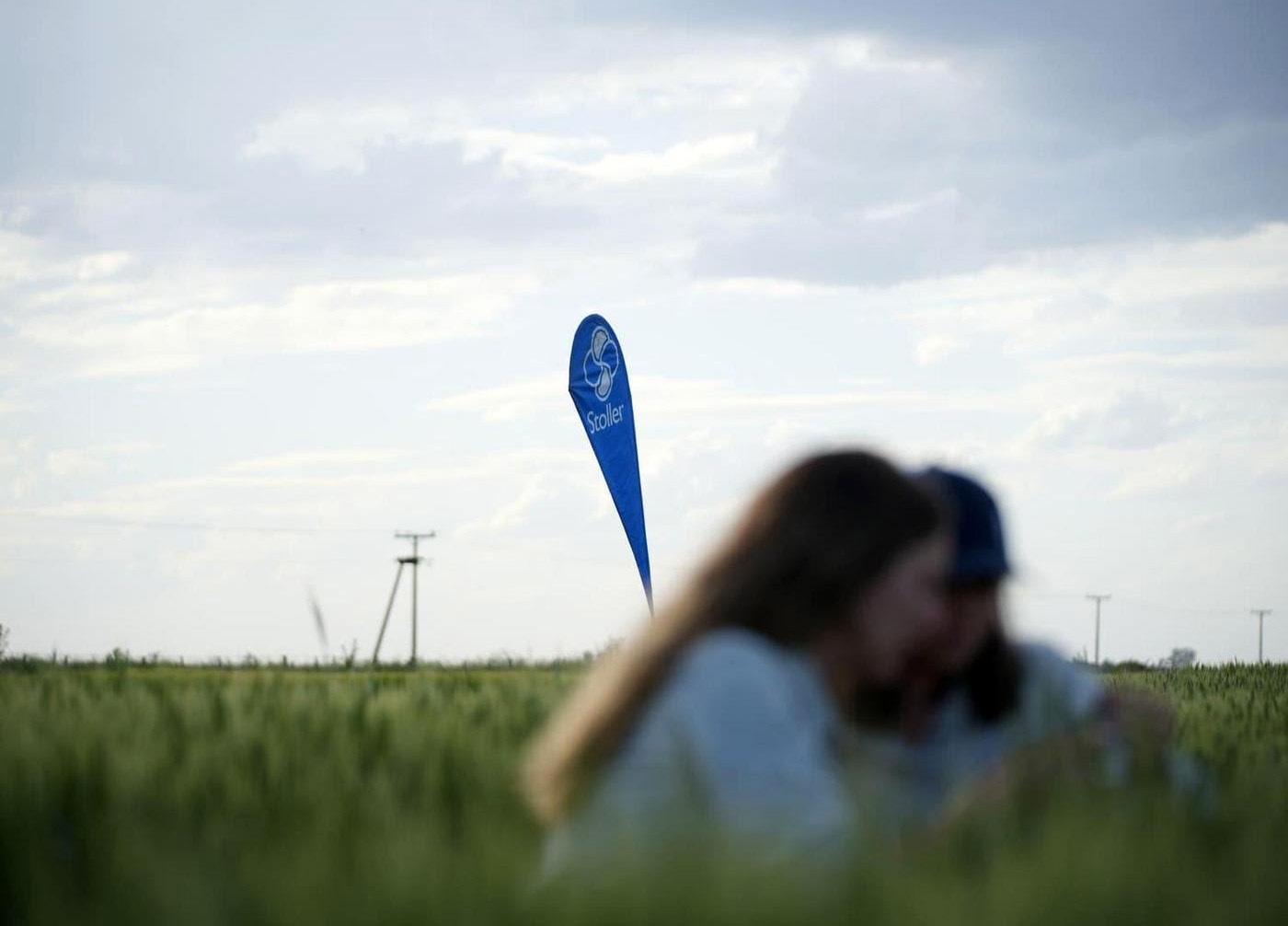 Stoller comercializará Blue-N, la bacteria fijadora de nitrógeno de Corteva